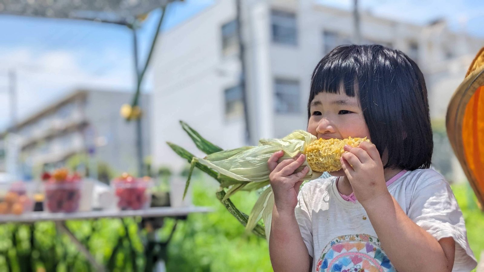 畑でとれたトウモロコシをほおばる子ども