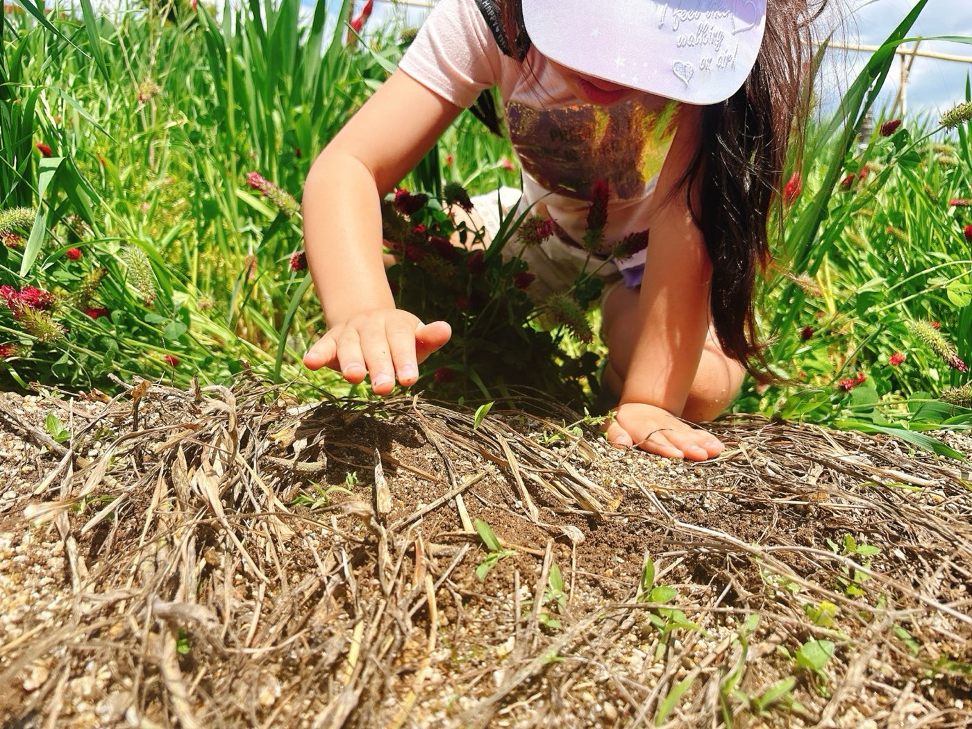 あわい農園の畑で、土に手をのばす子ども