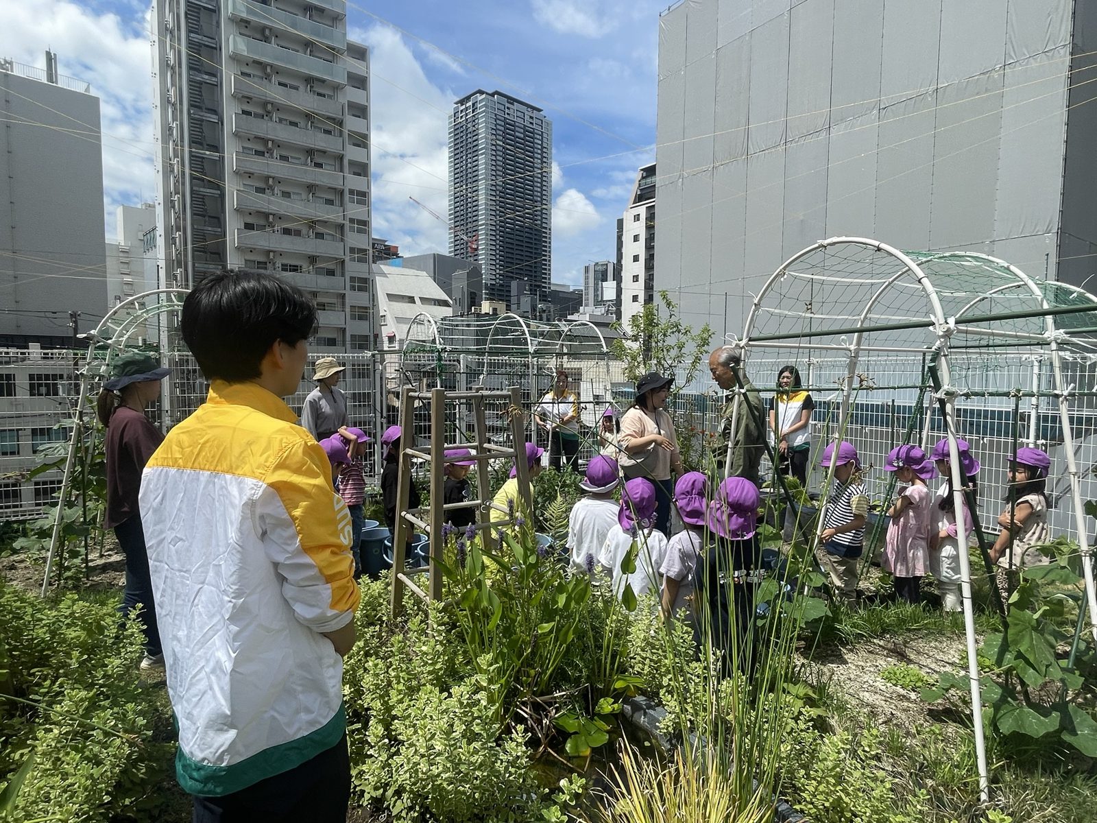ビルに囲まれた屋上農園で、農園の先生の話を聞く園児たち